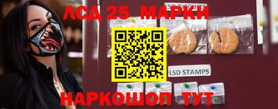 мдпв Владимир