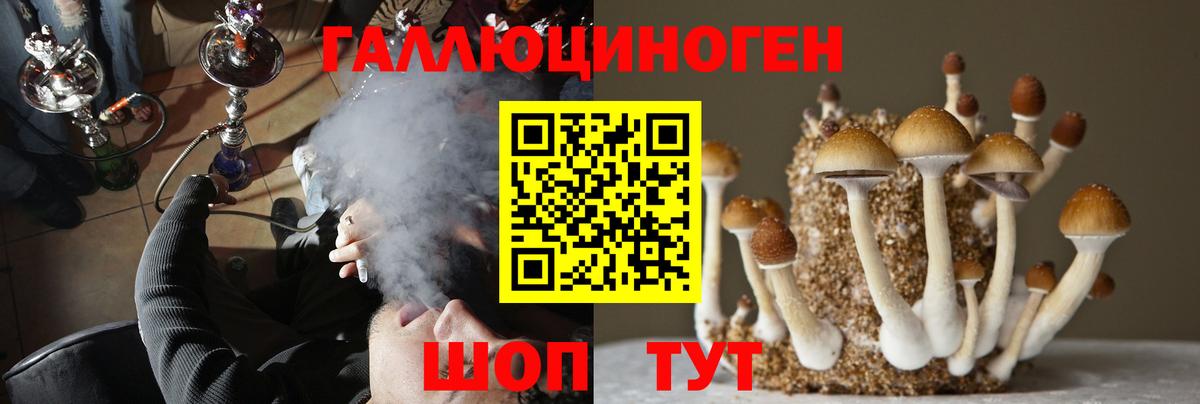 Галлюциногенные грибы GOLDEN TEACHER  Галлюциногенные грибы MAGIC MUSHROOMS  Вход с VPN  Верхний Уфалей 